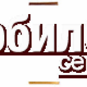 Шлейф для Samsung E900