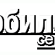 Сенсорный экран для Samsung S8300