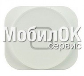 Пластик кнопки меню для Apple iPhone 5 белый