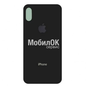Стекло задней крышки для Apple iPhone X черное (big cut)
