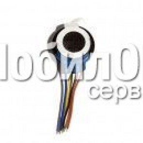 Динамик + Звонок для  LG C2200/G5400/G7030