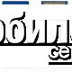 Шлейф для Samsung S3030
