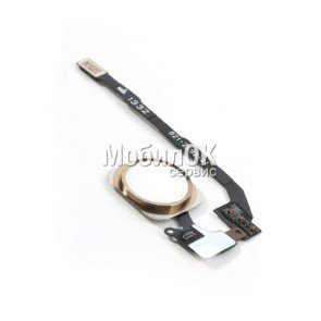 Шлейф для Apple iPhone 5S кнопки меню (золото)