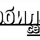 Дисплей для Samsung E480 оригинальный